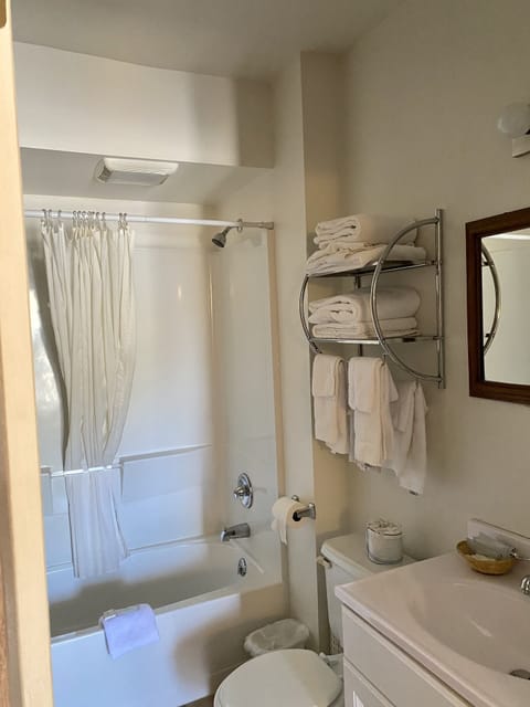 Double Room | Bathroom | Free toiletries, hair dryer, towels