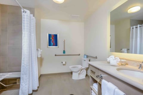 Room, 1 King Bed, Accessible, Non Smoking (Mobility & Hearing, Roll-in Shower) | Bathroom | Free toiletries, hair dryer, towels, soap