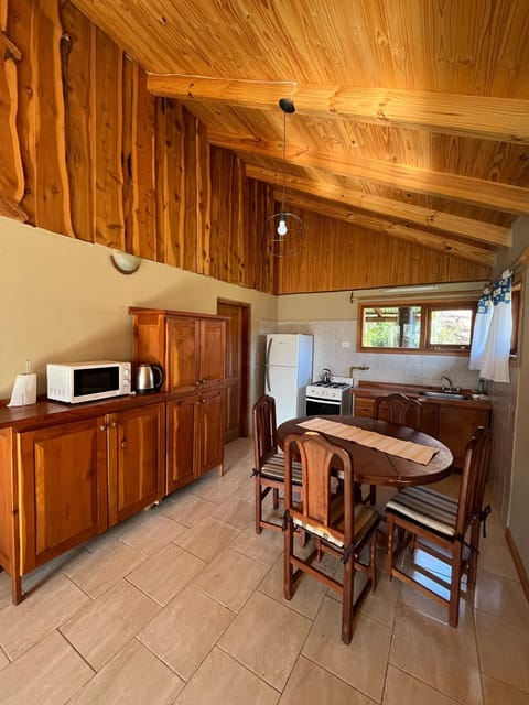 Standard Cabin | Living area | Flat-screen TV, fireplace