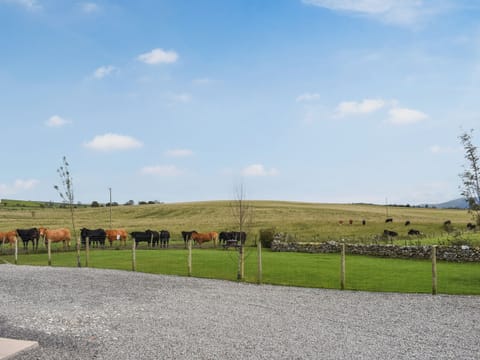 View | Regal Lodge - Forest Views, Moota, near Cockermouth