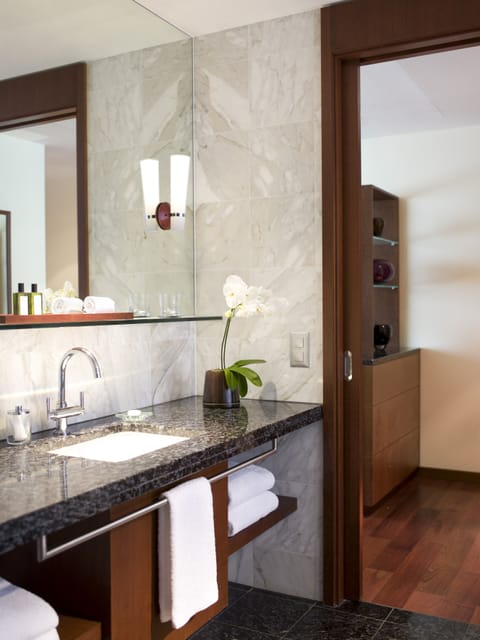 Junior Suite (Park) | Bathroom | Separate tub and shower, designer toiletries, hair dryer, bathrobes