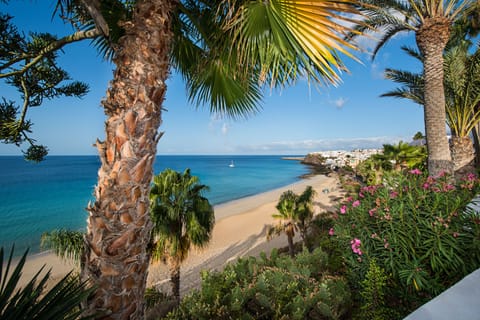 On the beach, white sand, sun loungers, beach umbrellas