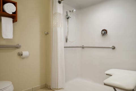 Room, 1 King Bed, Accessible (Mobility, Roll-in Shower) | Bathroom | Combined shower/tub, free toiletries, hair dryer, towels