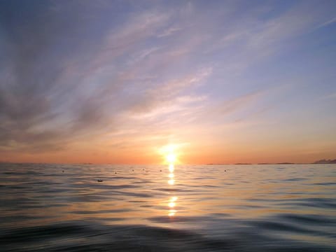 House | Miscellaneous