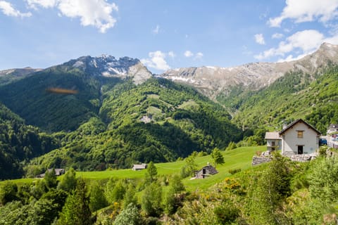 The nature of the nearby Vigezzo Valley