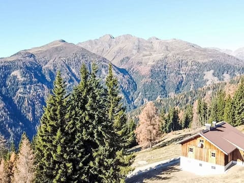 Sky, Plant, Mountain, Ecoregion, Natural Landscape, Larch, Slope, Tree, Highland, Window