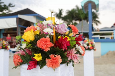 Outdoor wedding area