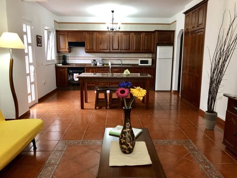 Superior Apartment, 2 Bedrooms, Terrace | Private kitchen | Full-size fridge, microwave, oven, stovetop