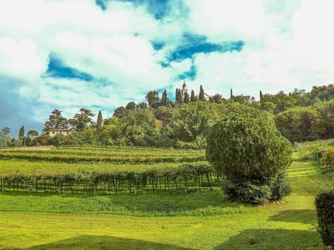 Autumn, Building Exterior, Scenic View, Spring, Summer, Winter