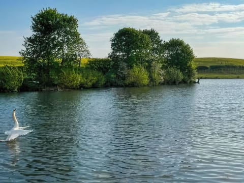 Surrounding area | Stewards Bothy - East Learmouth Farmstays, Berwick-upon-Tweed
