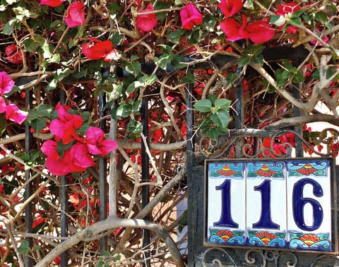 Enjoy your getaway relaxing by lush vining flowers in the front garden