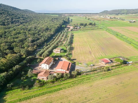 Cloud, Water, Sky, Water Resources, Building, Mountain, Blue, Skyscraper, Natural Landscape, Cityscape
