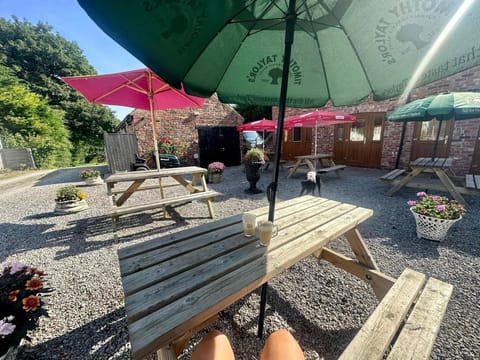 Studio | Outdoor dining