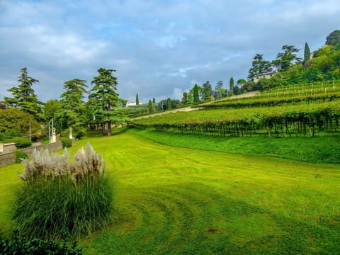 Autumn, Building Exterior, Garden, Scenic View, Spring, Summer, Winter