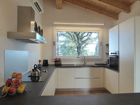 House, Balcony, Hill View | Private kitchen | Fridge, microwave, oven, stovetop