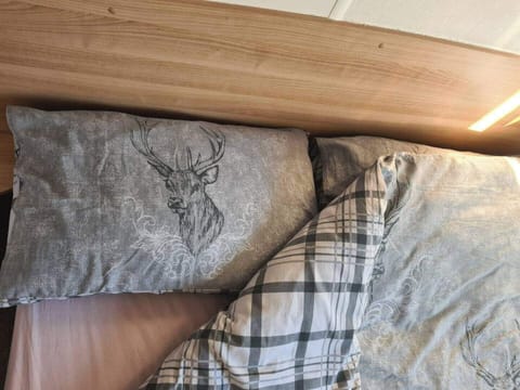 Cabin | Miscellaneous