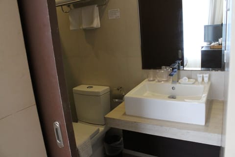 Superior Room | Bathroom | Shower, rainfall showerhead, free toiletries, hair dryer