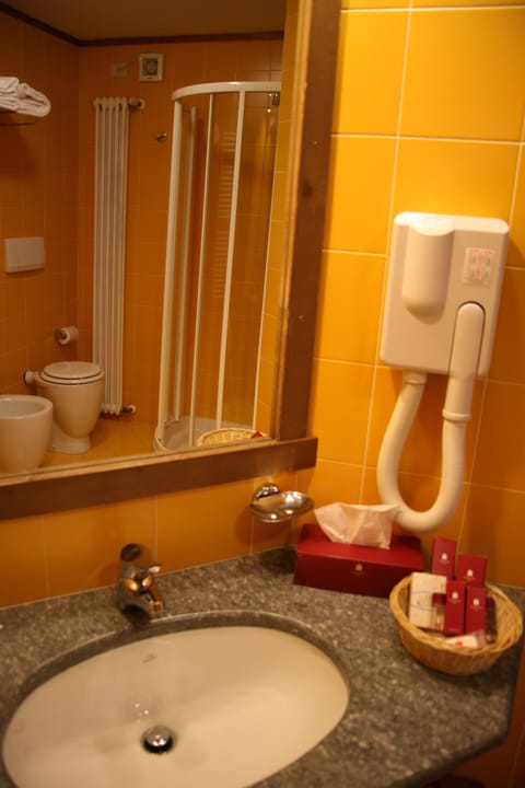 Shower, hair dryer, slippers, bidet