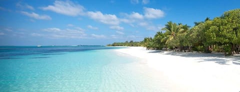 On the beach, white sand, beach umbrellas