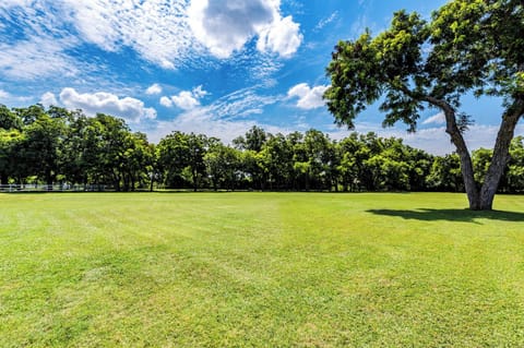 Imagine our outdoor events in this vast plain grassy backyard !!