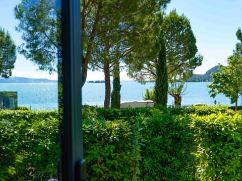 Plant, Water, Sky, Flower, Green, Natural Landscape, Land Lot, Vegetation, Tree, Building