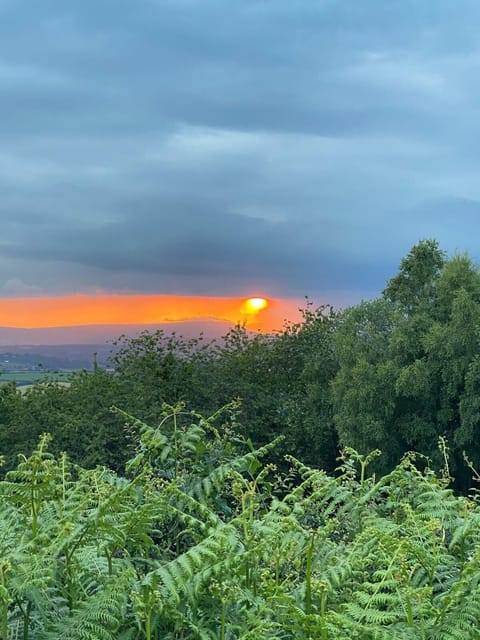 Cabin | Miscellaneous