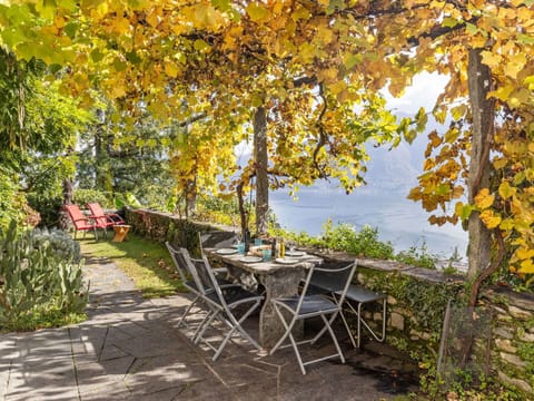 Plant, Water, Leaf, Natural Landscape, Table, Branch, Wood, Shade, Tree, Outdoor Furniture