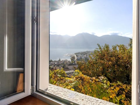 Sky, Property, Window, Building, Leaf, Wood, Interior Design, Shade, Sunlight