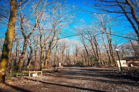 Region [summer] (>5 km)