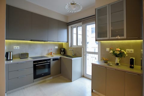 Family Apartment | Private kitchen | Full-size fridge, microwave, oven, stovetop