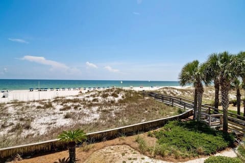 Condo, Multiple Beds (Palm Beach C21) | Beach | On the beach