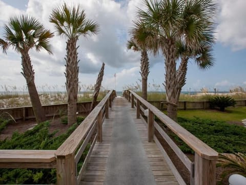 Condo, 1 King Bed with Sofa bed (Palm Beach A23) | Property grounds