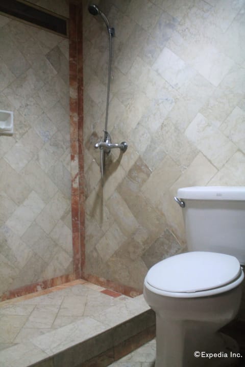Presidential Room, Private Bathroom | Bathroom | Shower, free toiletries, hair dryer, towels