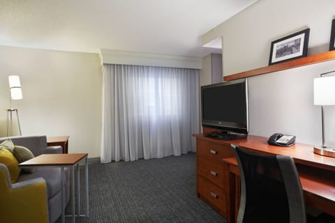 Suite, 1 Bedroom | Living area | TV