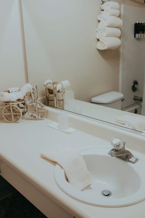 Deluxe Room | Bathroom | Combined shower/tub, free toiletries, hair dryer, towels