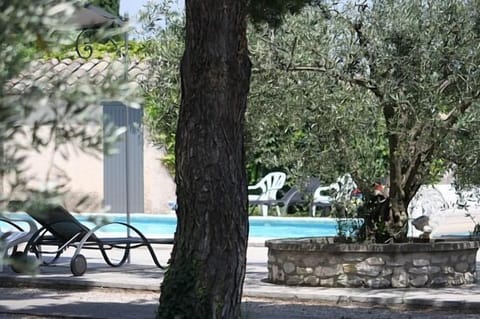 Seasonal outdoor pool, sun loungers