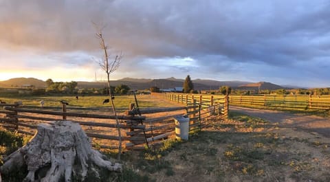 Area surrounding cabin