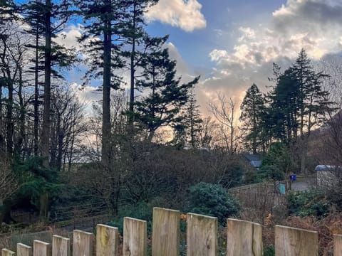 View | Katie’s Cosy Caravan - Shepherds Holidays, Kilmallieu