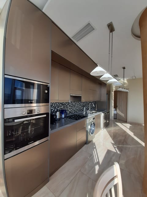 Deluxe Apartment, City View | Private kitchen