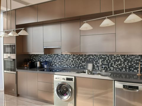 Deluxe Apartment, City View | Private kitchen