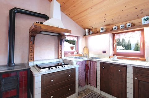 Cabin, Balcony, Mountain View | Private kitchen | Fridge, microwave, stovetop, dishwasher