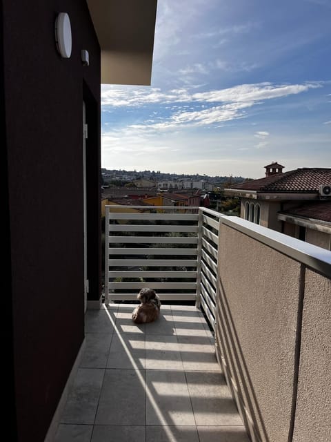 View from the Balcony