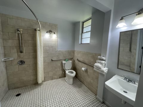 Standard Room, 1 King Bed, Accessible | Bathroom | Combined shower/tub, hair dryer, towels