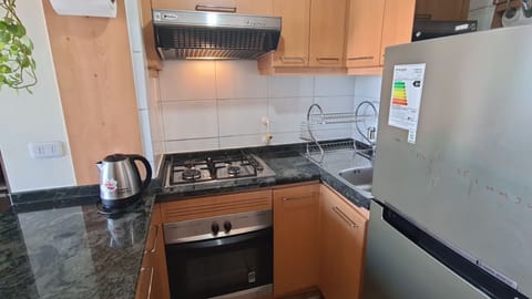 Panoramic Apartment, 1 Double Bed with Sofa bed, Mountain View | Private kitchen | Microwave, stovetop, cookware/dishes/utensils