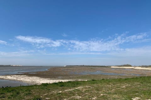 Immediate Surroundings [summer] (<1 km)