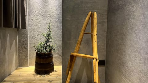 Design Studio Suite, Terrace, Mountain View | Bathroom | Free toiletries, hair dryer, bathrobes, slippers