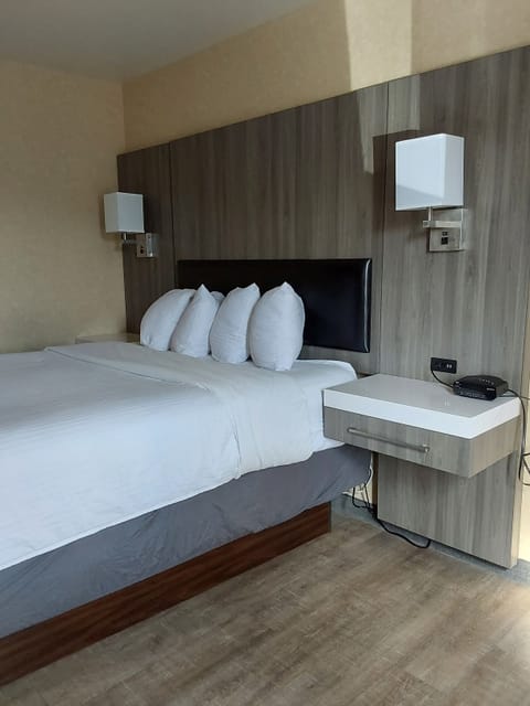 Standard Room, 1 Queen Bed, Non Smoking | Desk, iron/ironing board, free WiFi, bed sheets