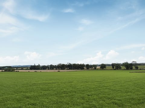 Surrounding area | Coo Pod - Newton Of Inshewan Farm Pods, Forfar