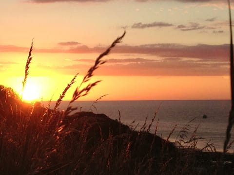 e59c0cc4-07d2-4eeb-8219-707fc8d2fa5b