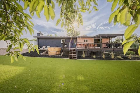 back yard wide shot under tree
